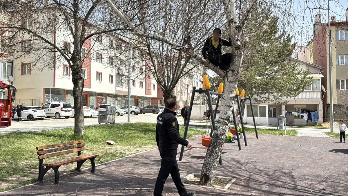 Sivas’ta Ağaca Çıkan Çocuk Mahsur Kaldı: İtfaiye Zamanında Müdahale Etti