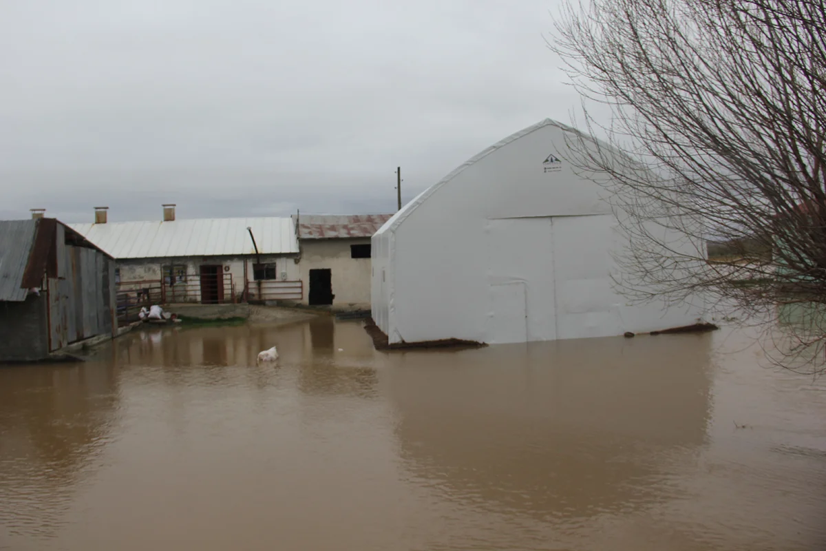 Sivas’ta Baraj Kapakları Açıldı: Kızılırmak Taştı, Canova Köyü Sular Altında Kaldı