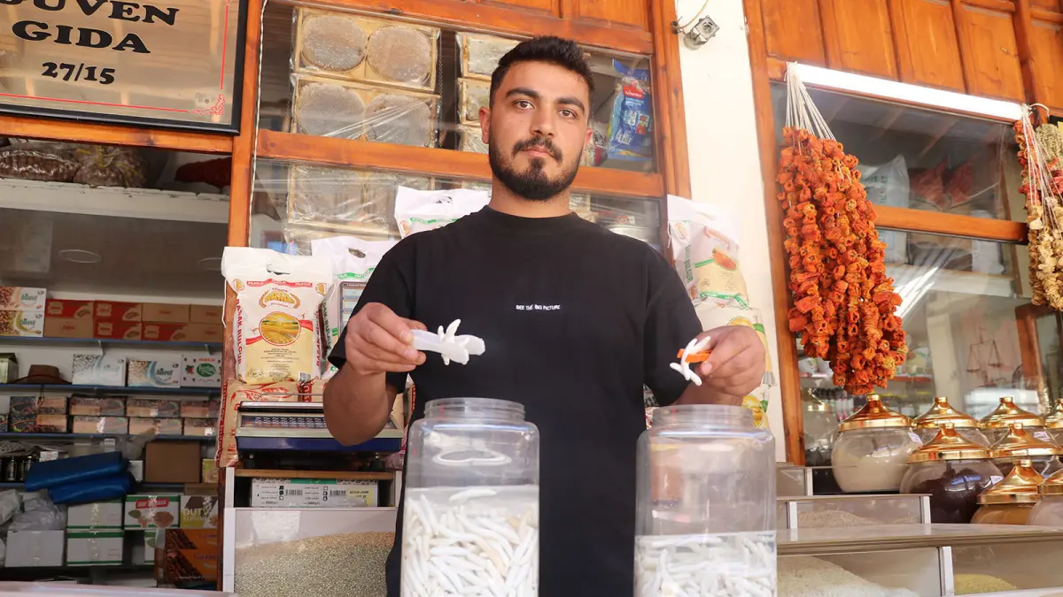 Kilosu Altınla Yarışıyor! Sivas’ın Doğal Hazinesi Kenger Sakızına Yoğun İlgi