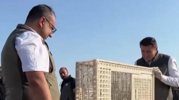 Sivas'ta Yuvadan Düşen İki Kerkenez Yavrusu Yeniden Doğaya Kavuştu!